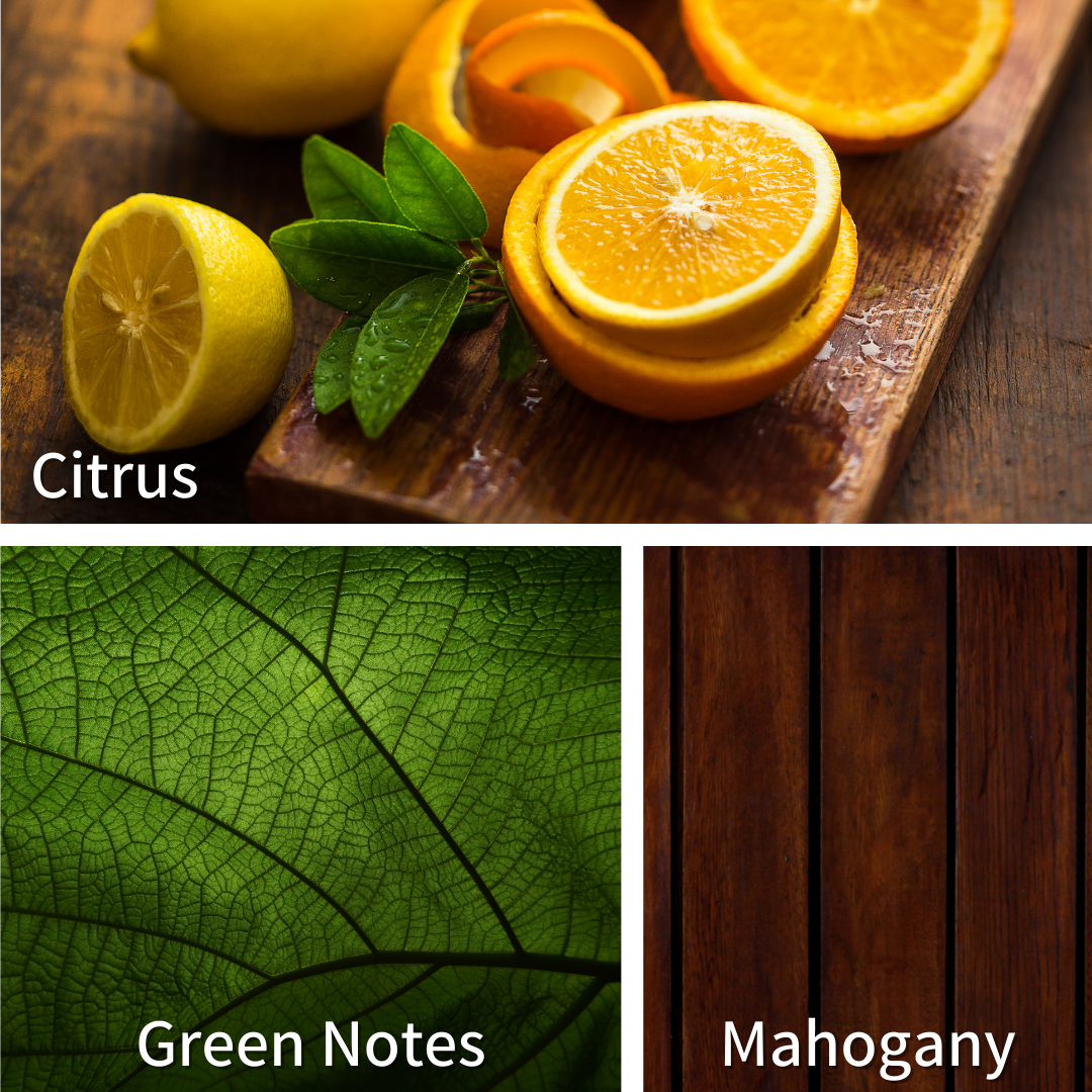 BarberShop (Solid Cologne) by Oak City Beard Company