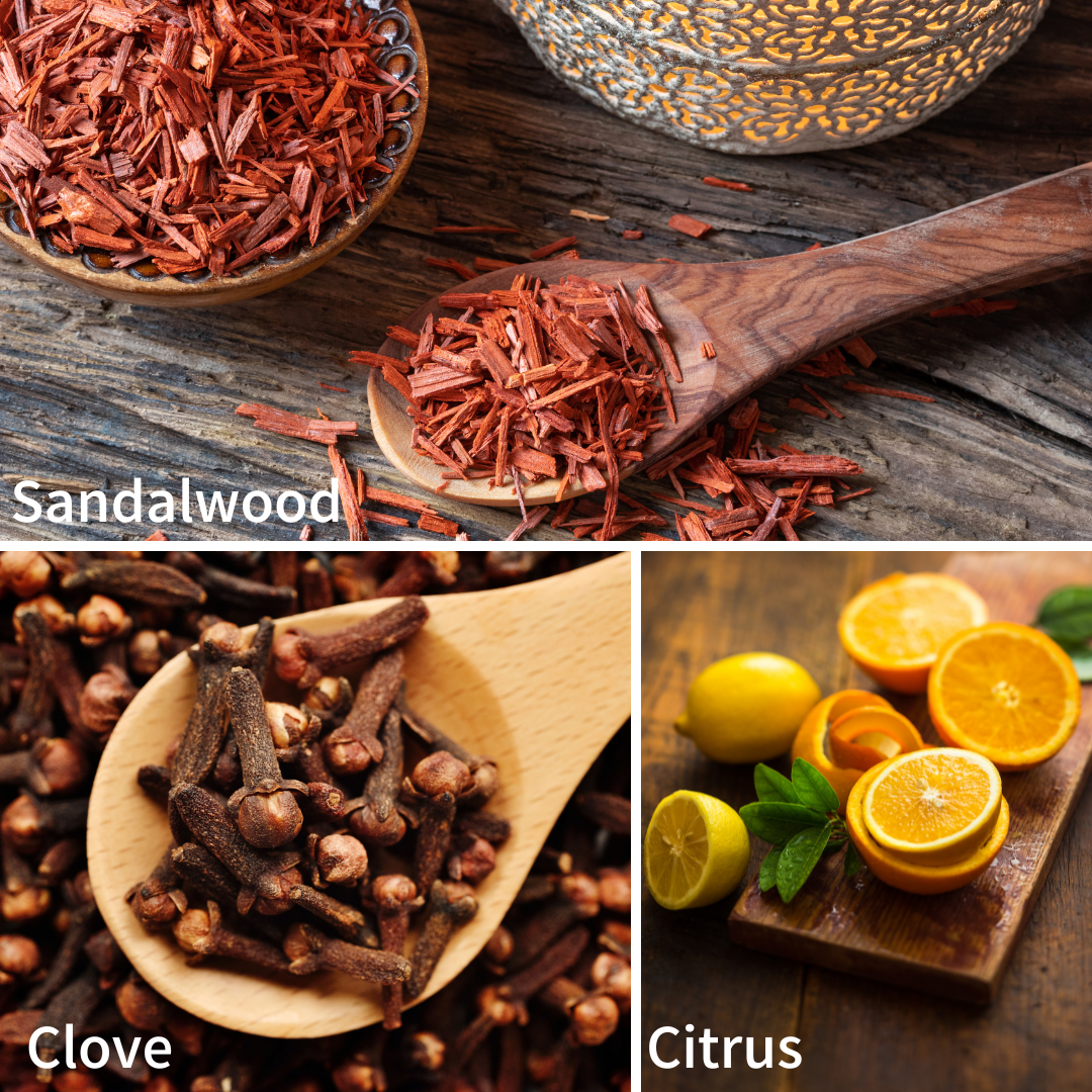 Grizzly (Goat's Milk Body Moisturizer) by Oak City Beard Company