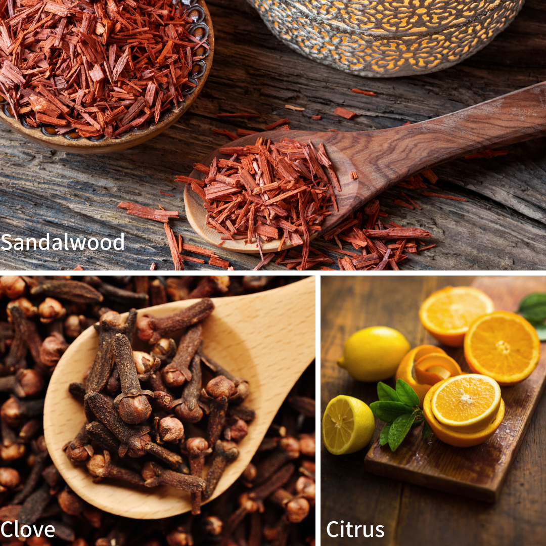 Grizzly (Beard Wash) by Oak City Beard Company