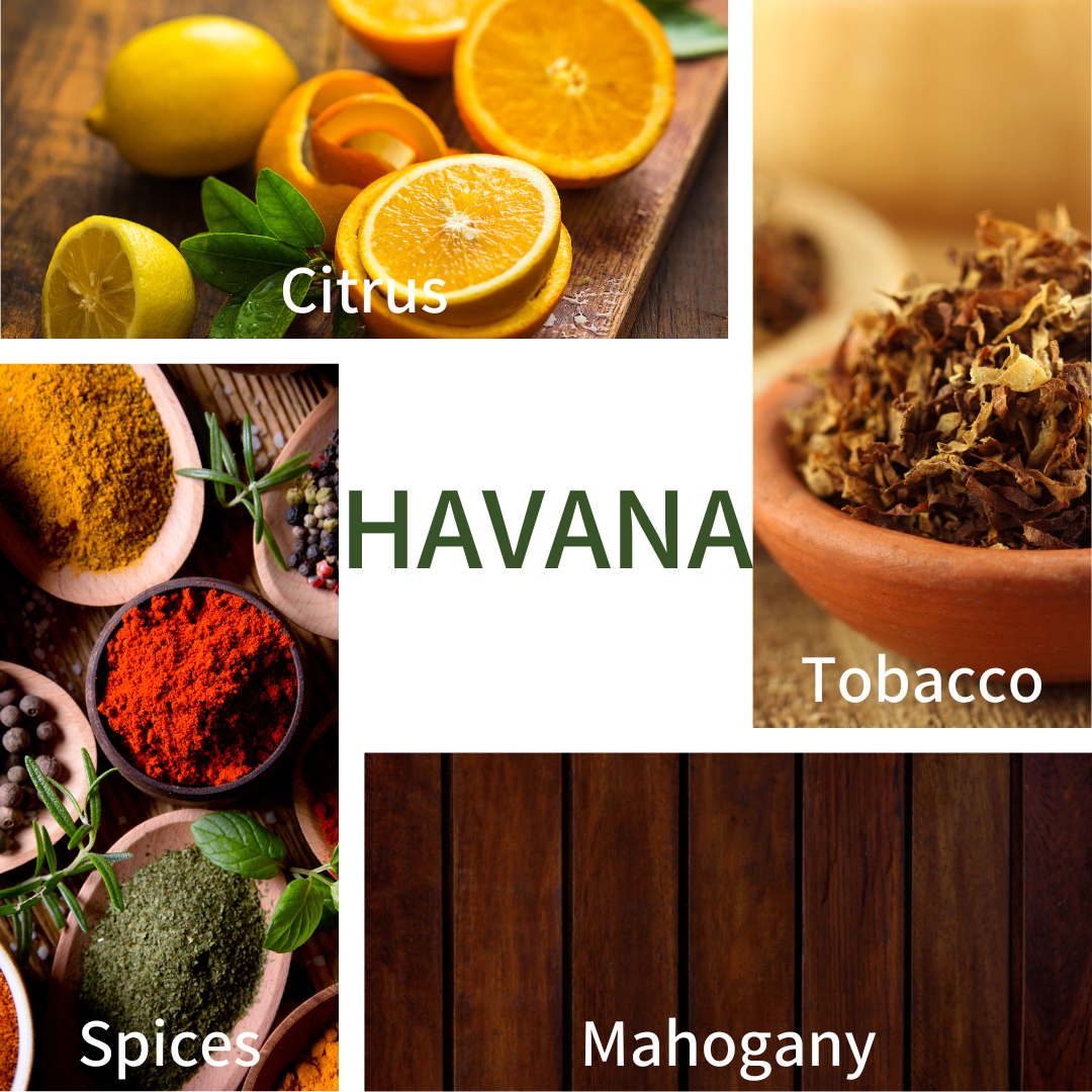 Havana (Solid Cologne) by Oak City Beard Company