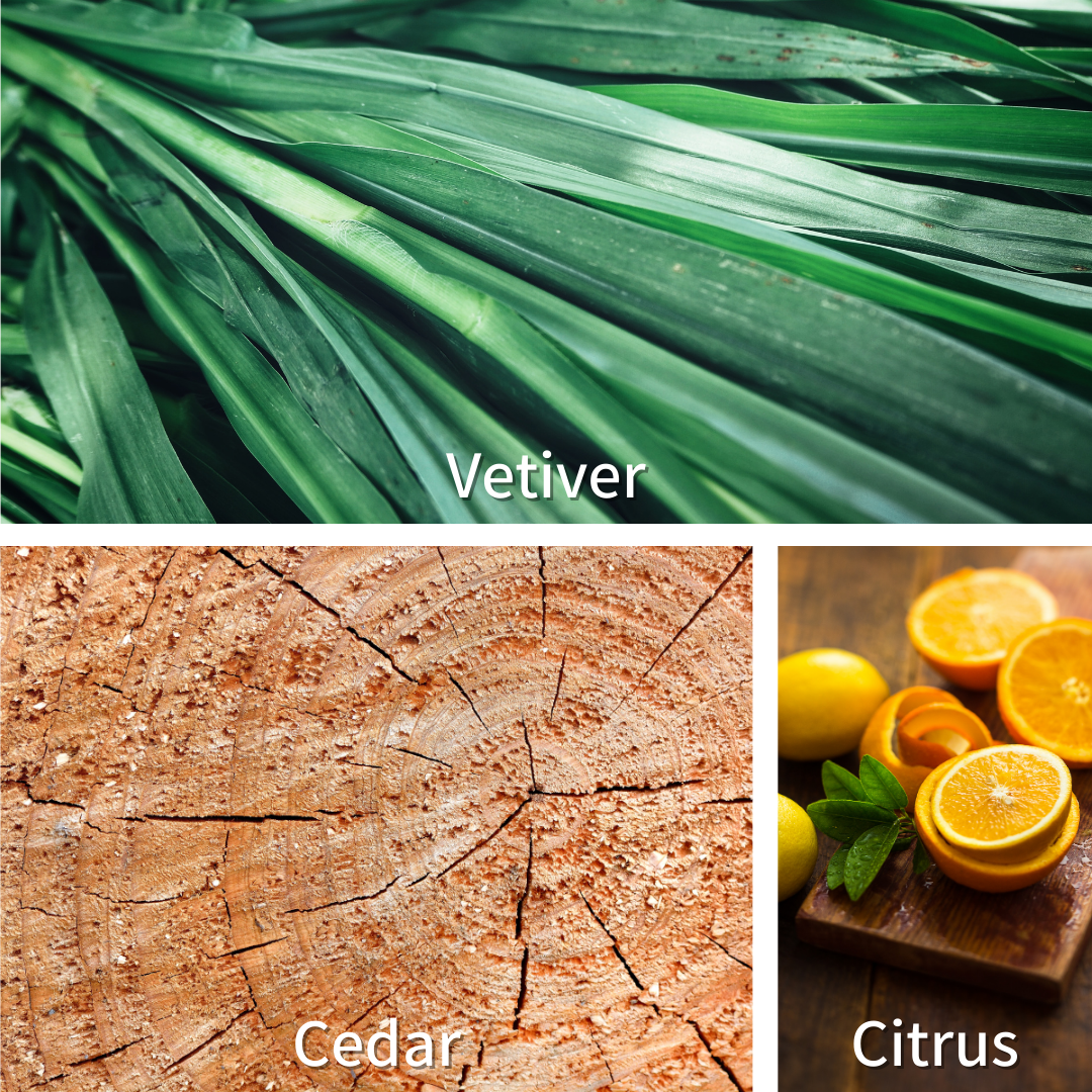 Viking (Solid Cologne) by Oak City Beard Company